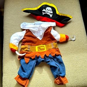 Adorable Dog Pirate Costume Sz Small